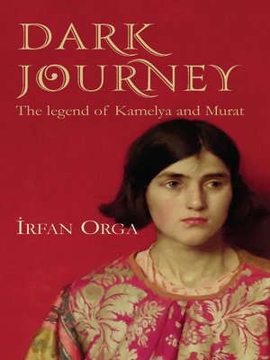 cover image of Dark Journey